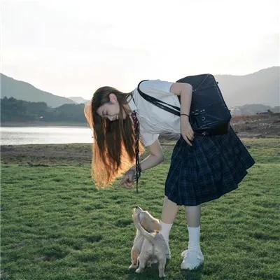黄水仙的秘密